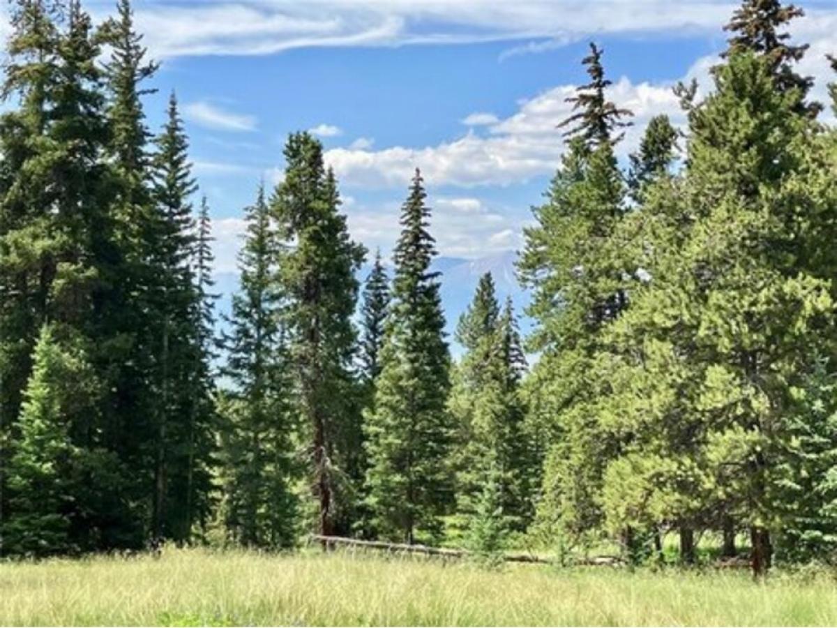 Picture of Residential Land For Sale in Leadville, Colorado, United States