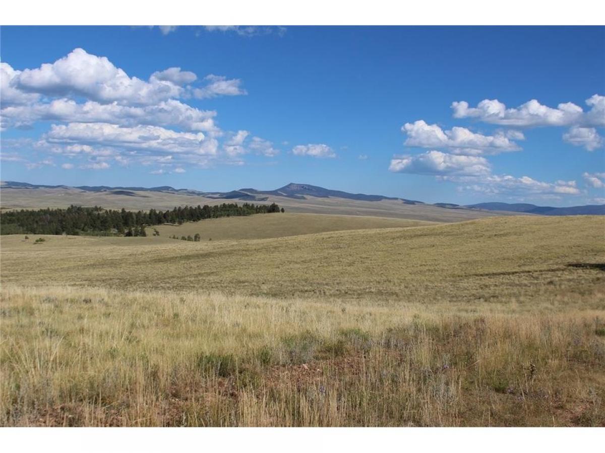 Picture of Residential Land For Sale in Hartsel, Colorado, United States