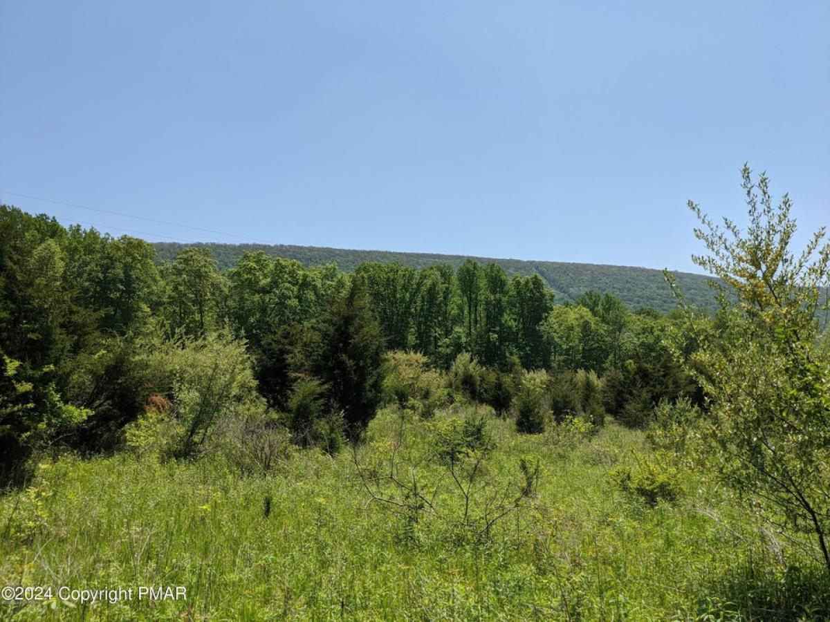 Picture of Residential Land For Sale in Stroudsburg, Pennsylvania, United States