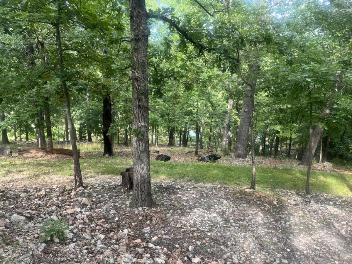 Picture of Residential Land For Sale in Eucha, Oklahoma, United States