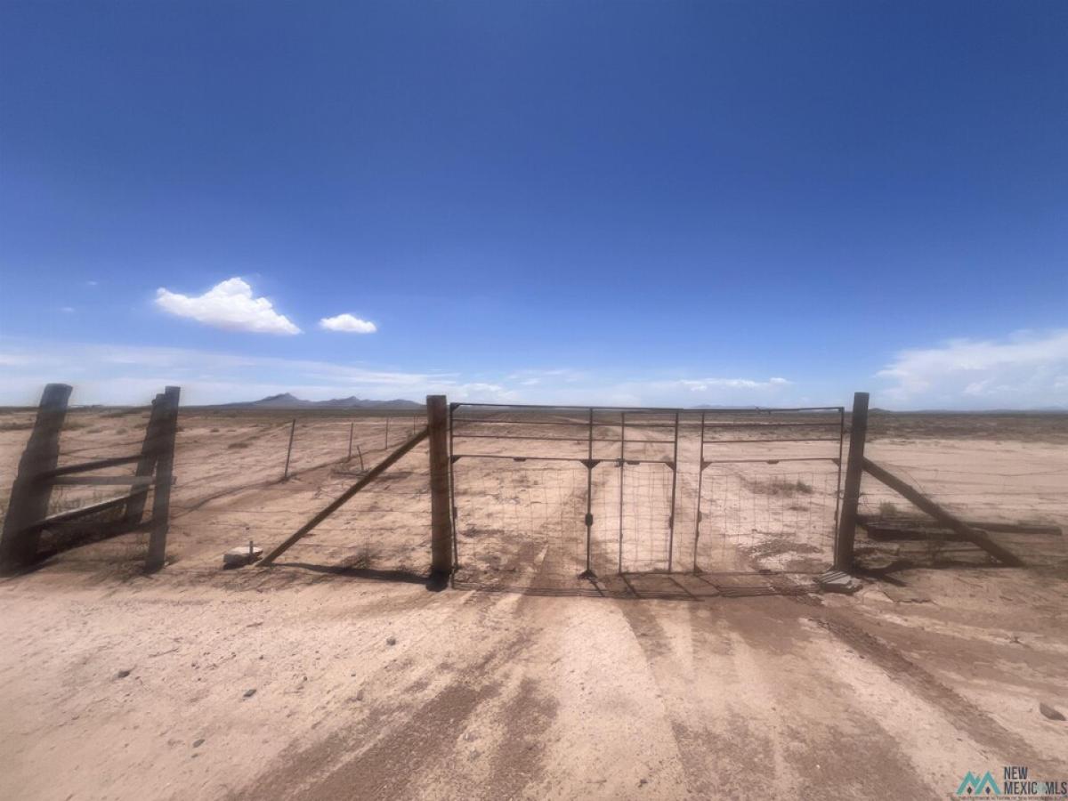 Picture of Residential Land For Sale in Deming, New Mexico, United States