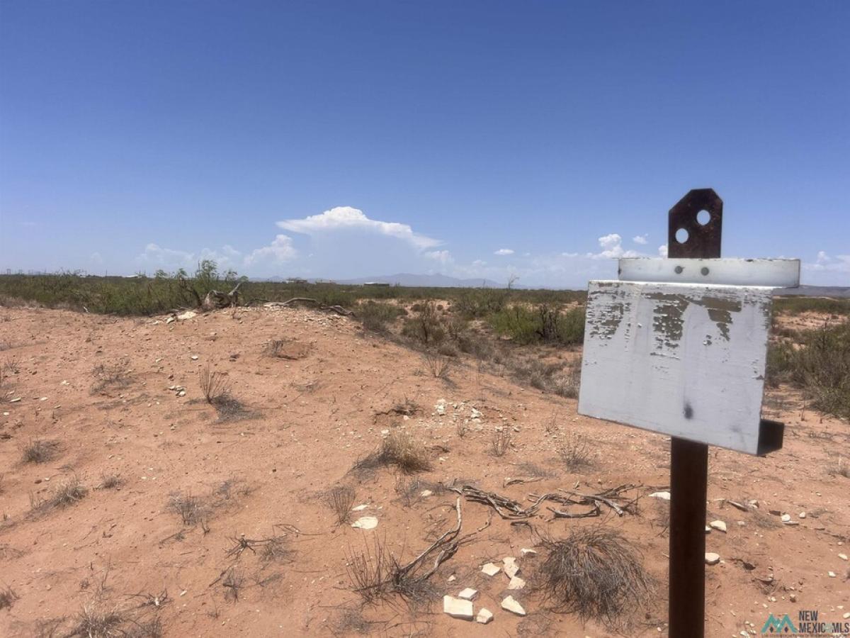 Picture of Residential Land For Sale in Deming, New Mexico, United States