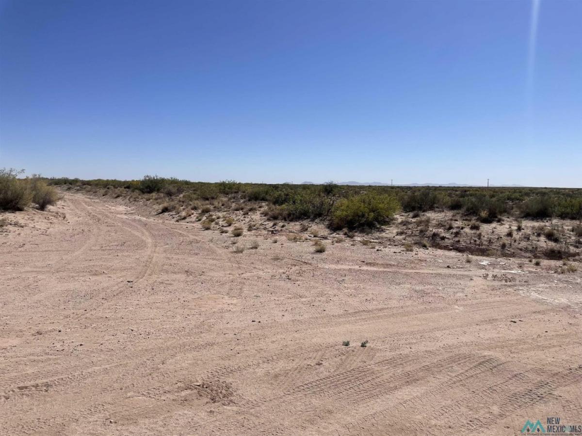 Picture of Residential Land For Sale in Deming, New Mexico, United States