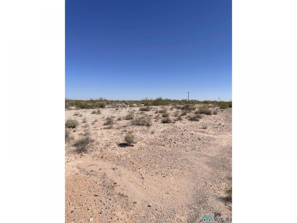 Picture of Residential Land For Sale in Deming, New Mexico, United States