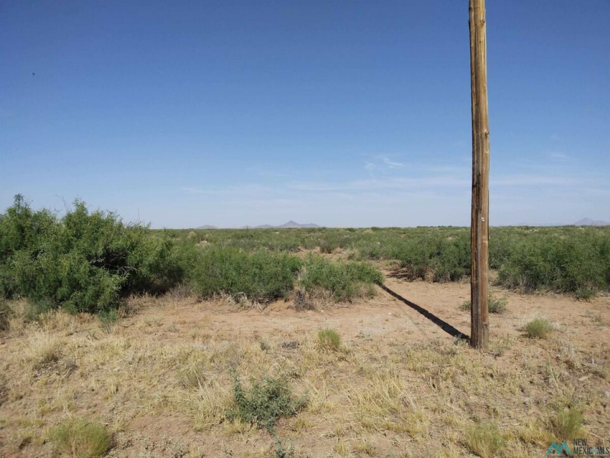 Picture of Residential Land For Sale in Deming, New Mexico, United States