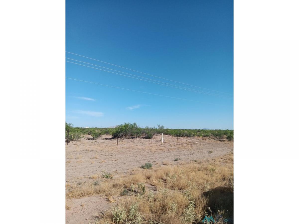 Picture of Residential Land For Sale in Deming, New Mexico, United States