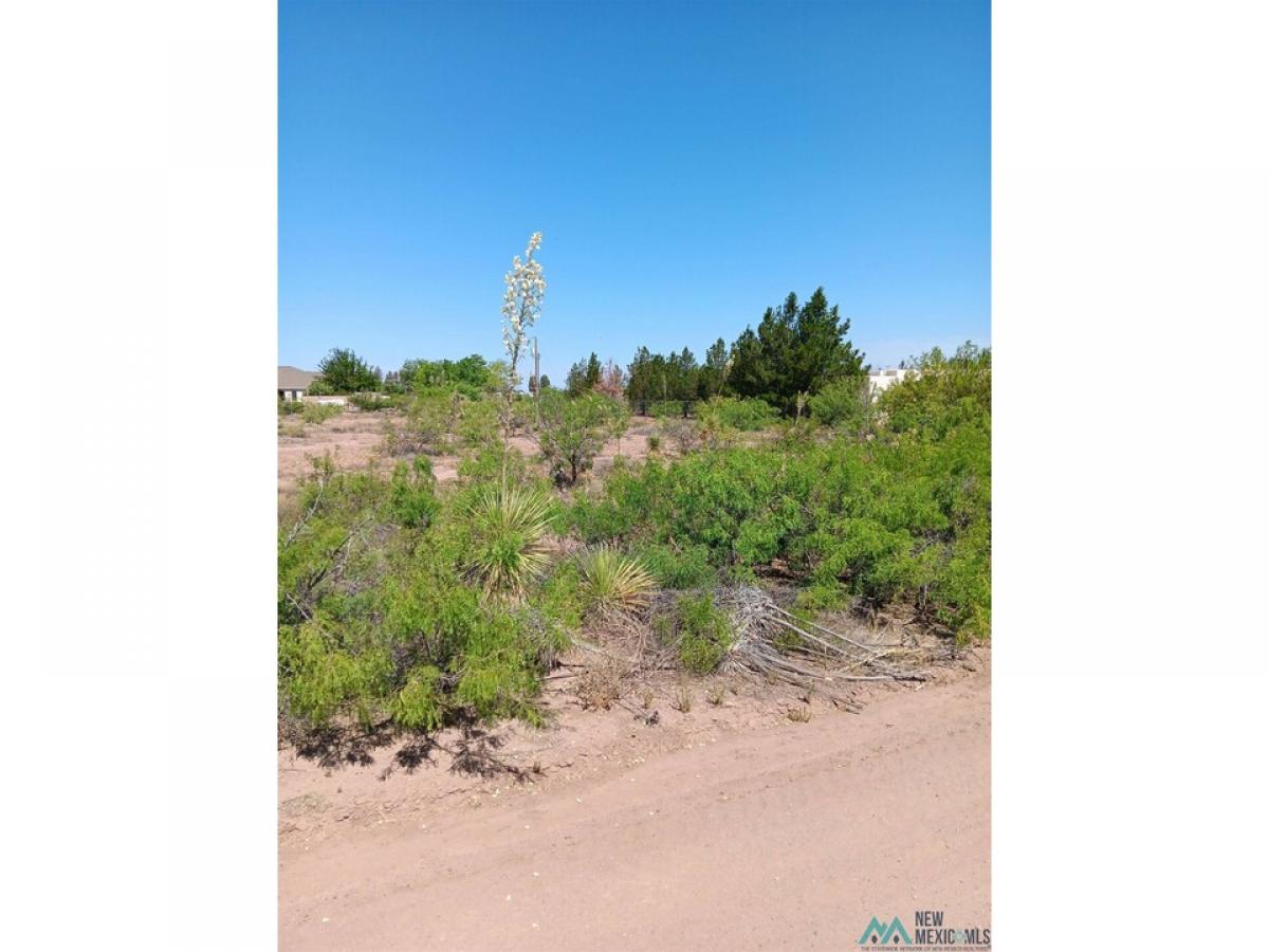 Picture of Residential Land For Sale in Deming, New Mexico, United States