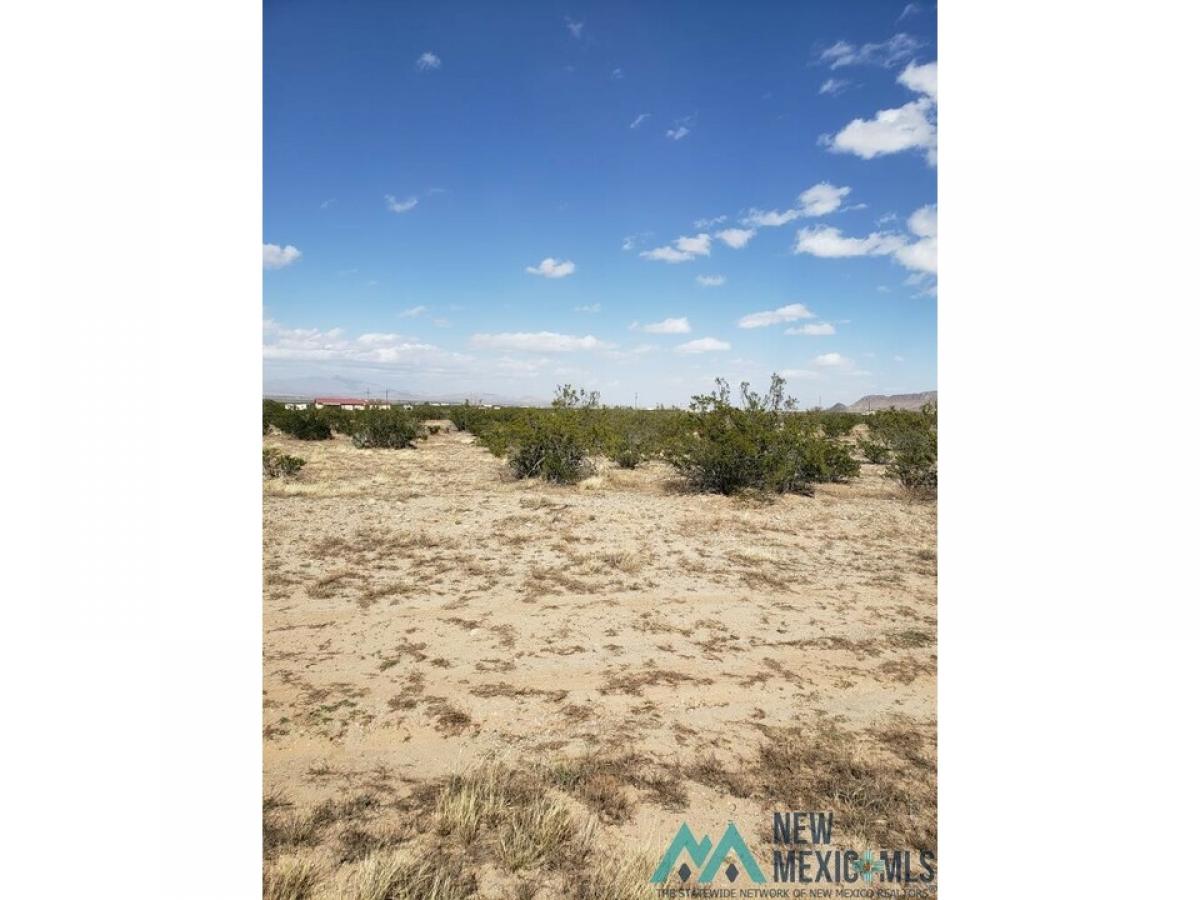 Picture of Residential Land For Sale in Deming, New Mexico, United States