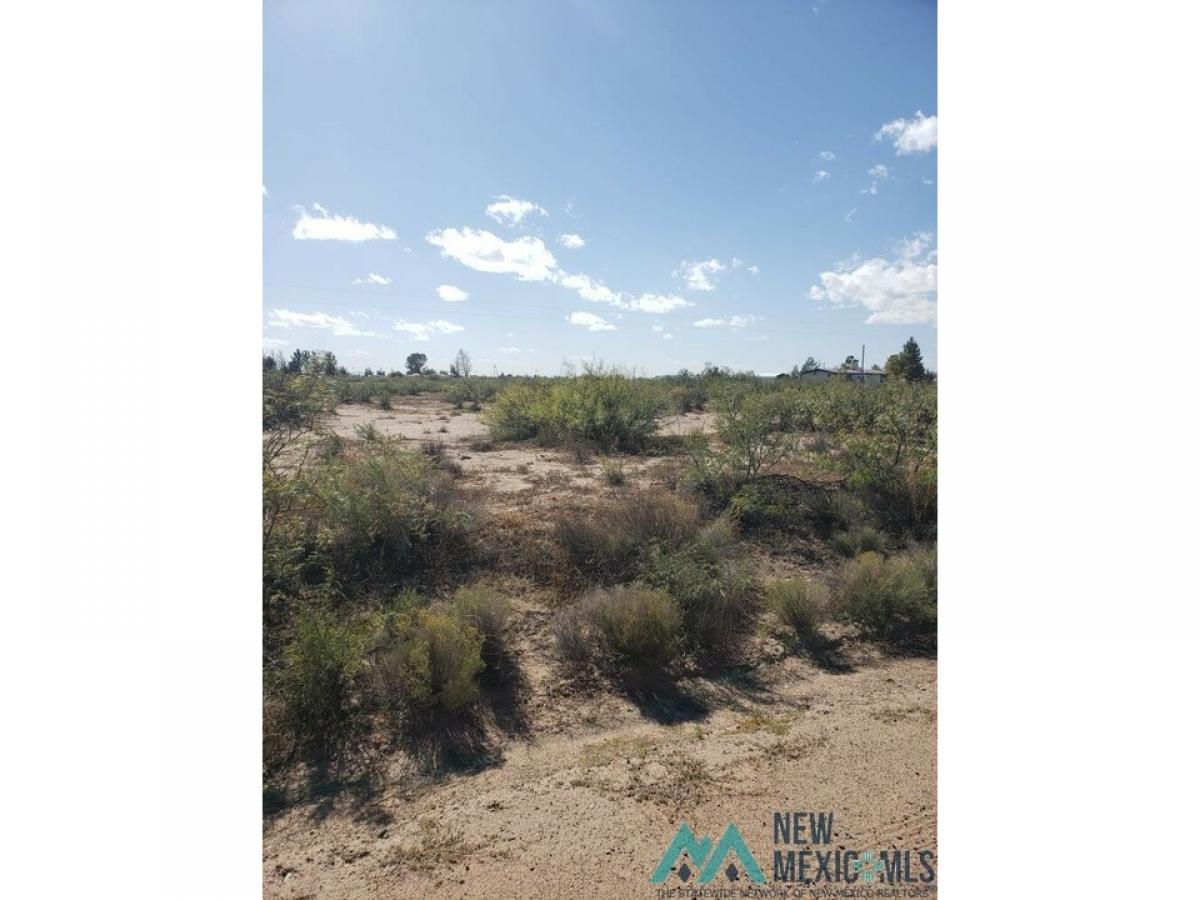 Picture of Residential Land For Sale in Deming, New Mexico, United States