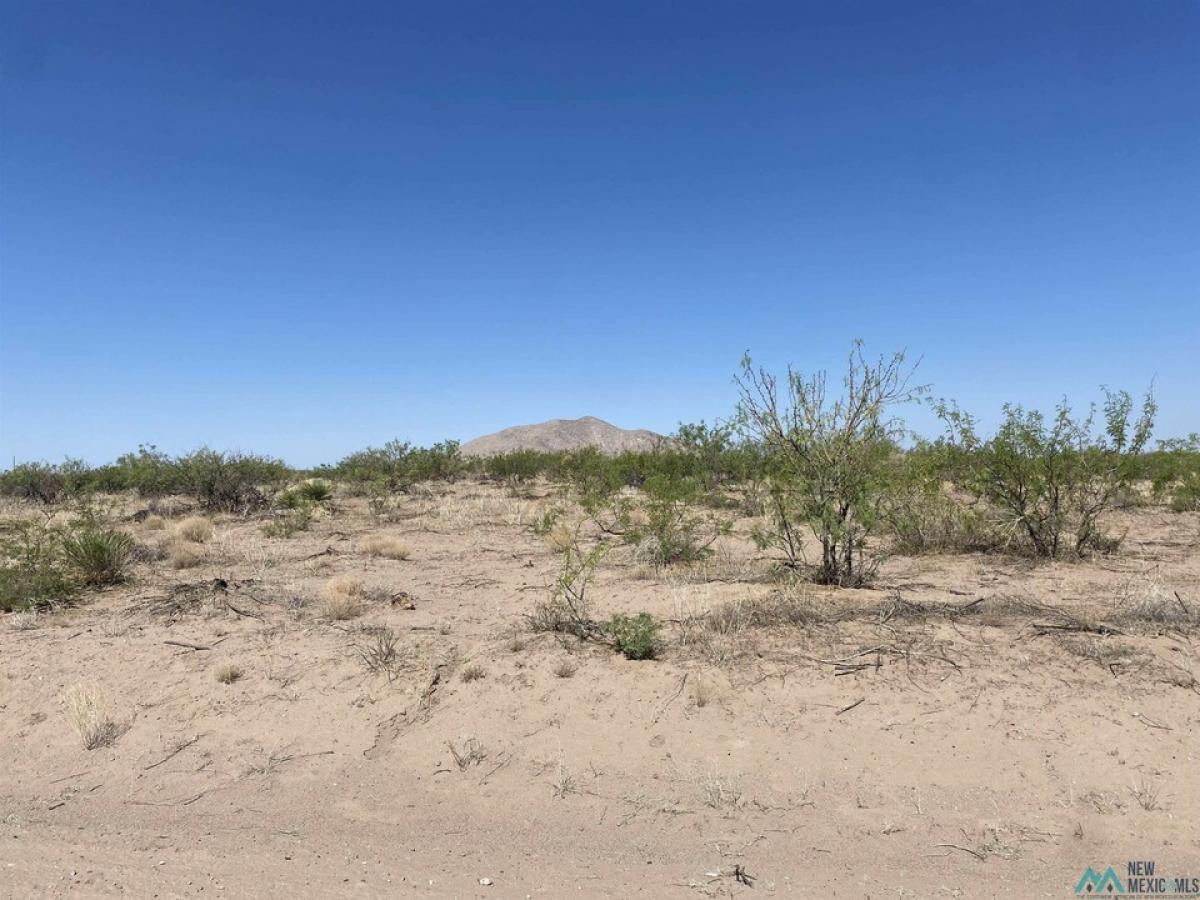 Picture of Residential Land For Sale in Deming, New Mexico, United States