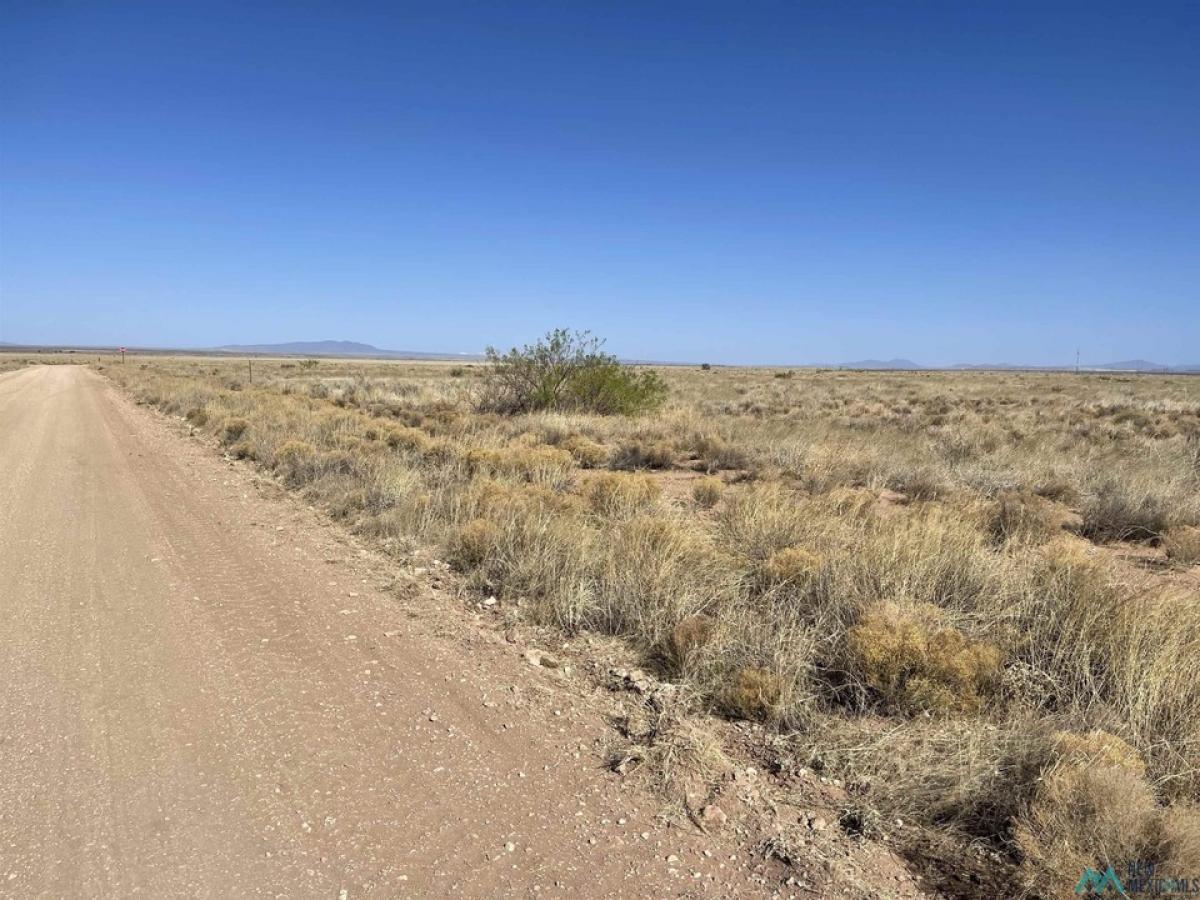 Picture of Residential Land For Sale in Deming, New Mexico, United States