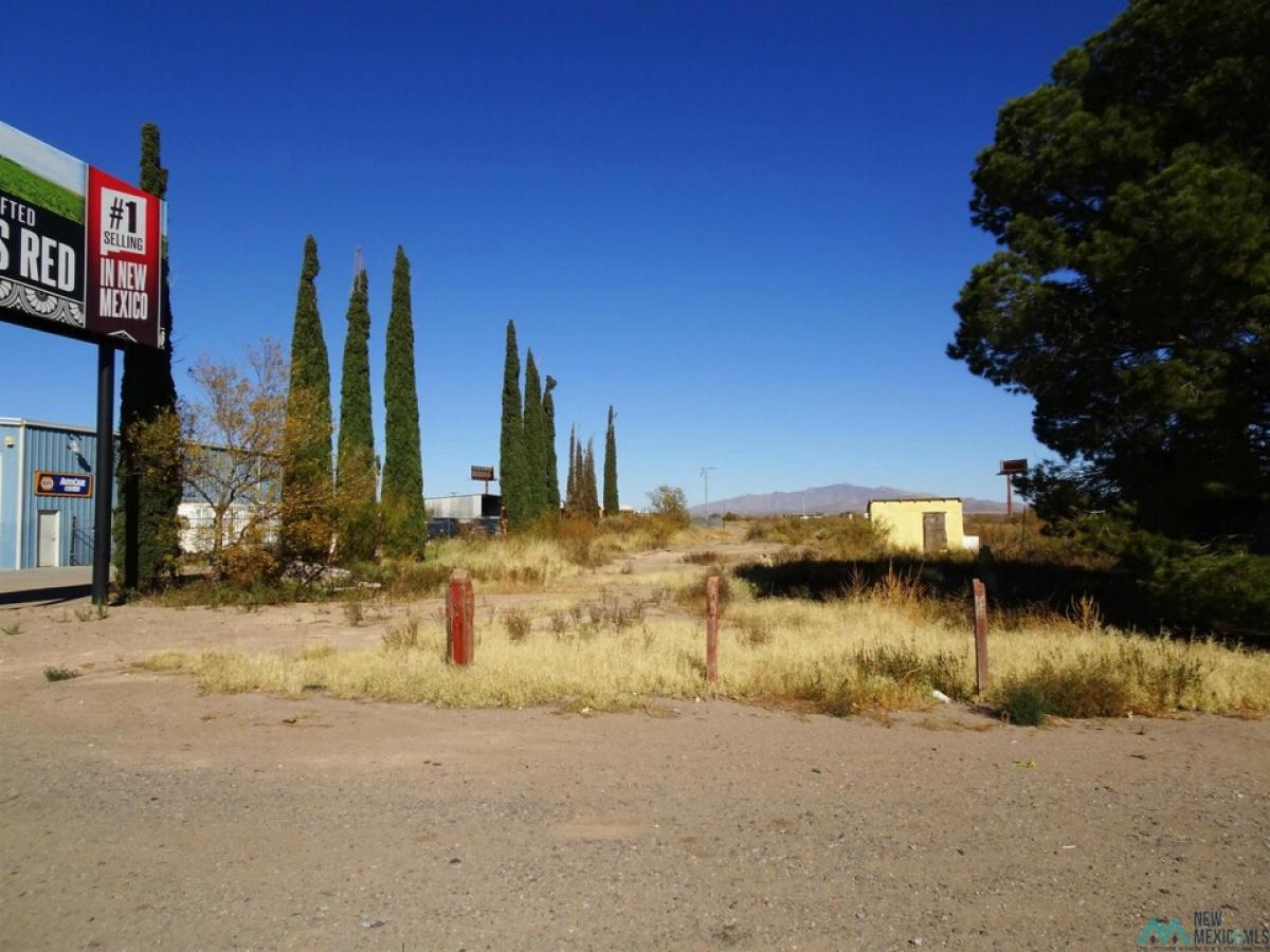 Picture of Residential Land For Sale in Deming, New Mexico, United States