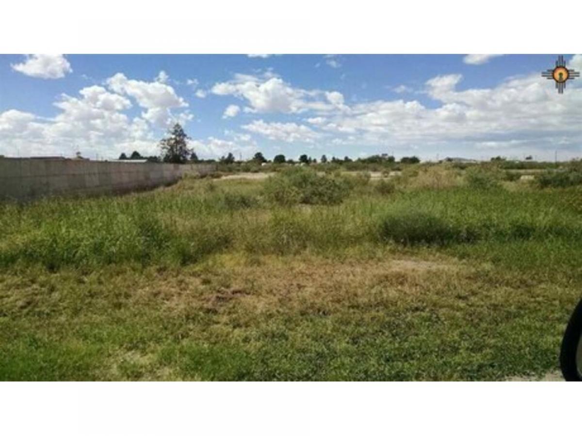 Picture of Residential Land For Sale in Deming, New Mexico, United States