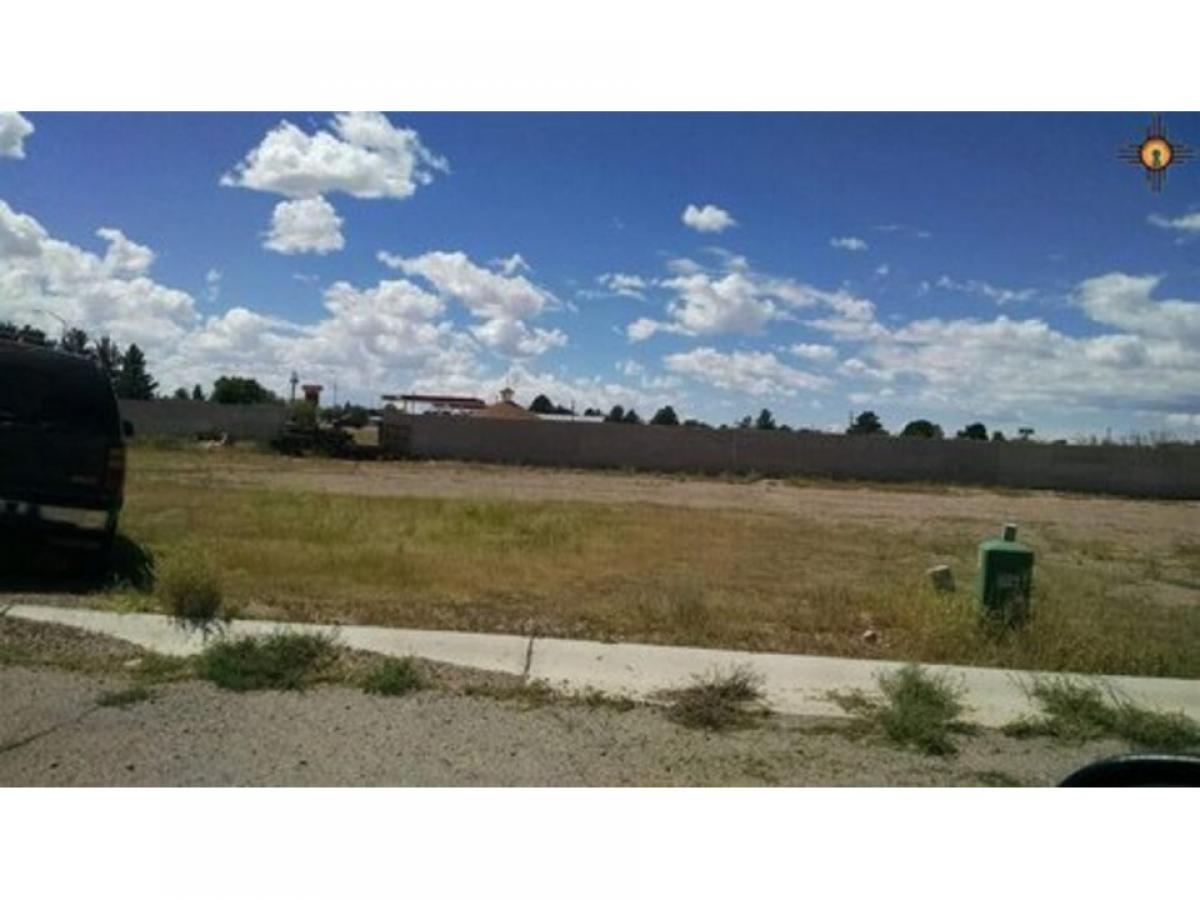 Picture of Residential Land For Sale in Deming, New Mexico, United States