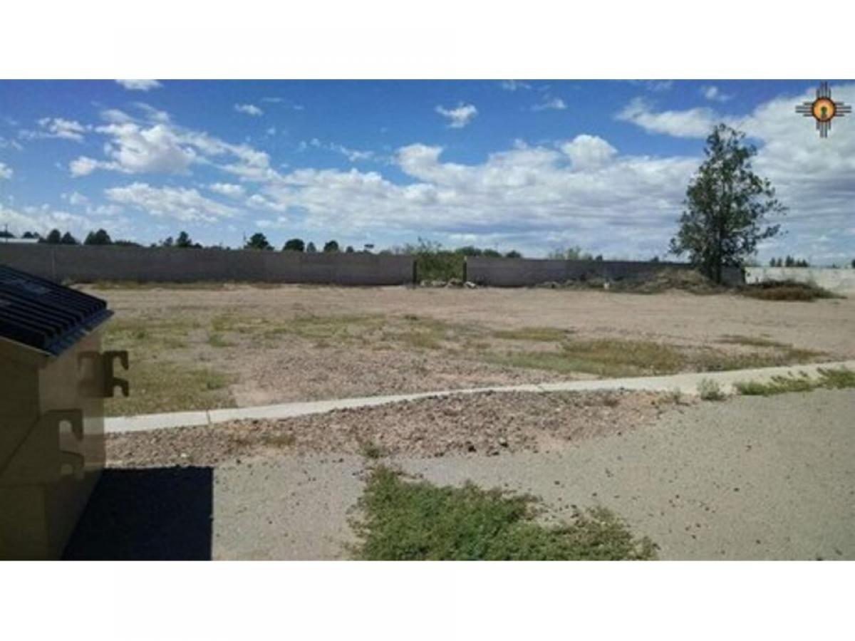 Picture of Residential Land For Sale in Deming, New Mexico, United States