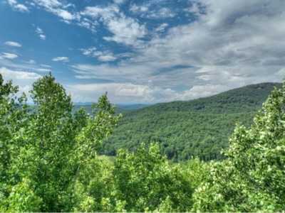 Residential Land For Sale in Morganton, Georgia