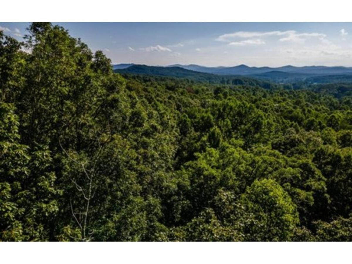 Picture of Residential Land For Sale in Blairsville, Georgia, United States