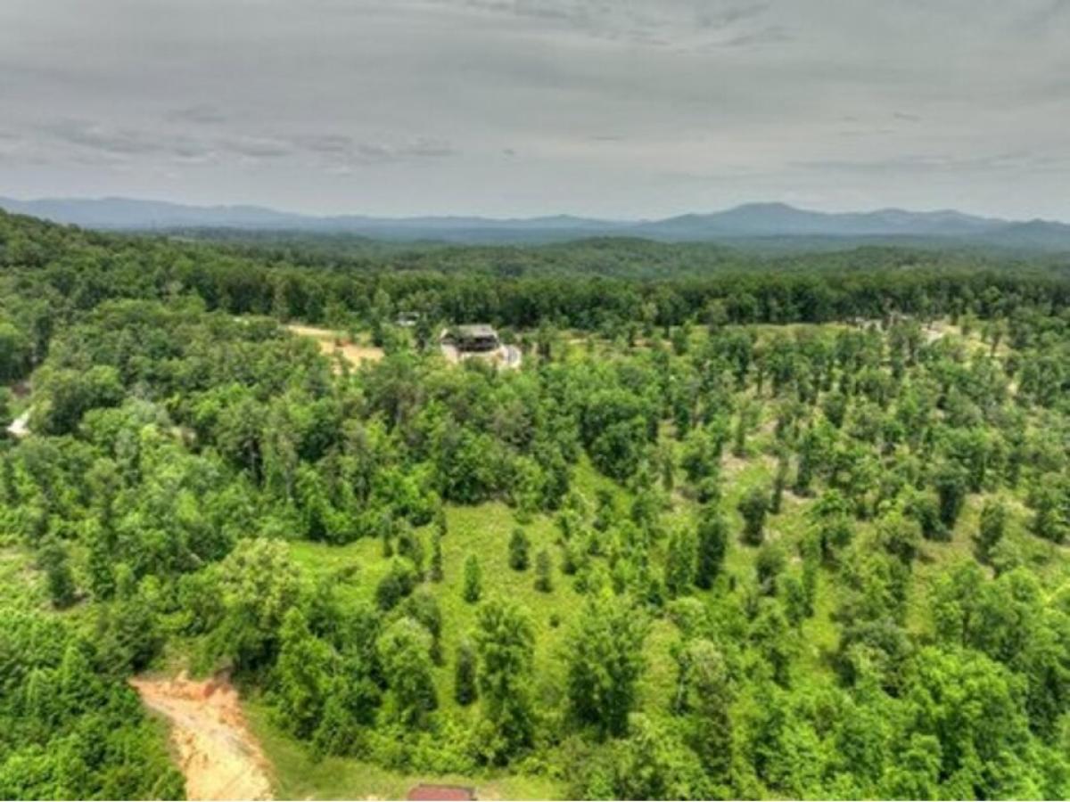 Picture of Residential Land For Sale in Blue Ridge, Georgia, United States