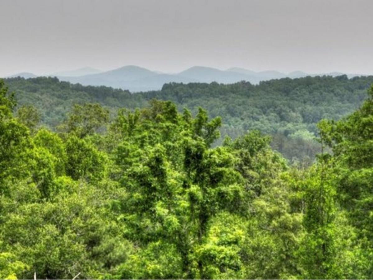 Picture of Residential Land For Sale in Blue Ridge, Georgia, United States