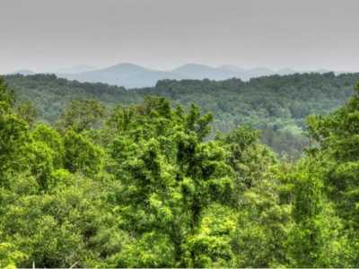 Residential Land For Sale in Blue Ridge, Georgia