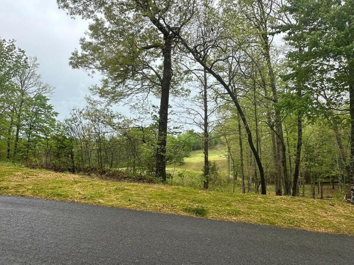 Picture of Residential Land For Sale in Mineral Bluff, Georgia, United States