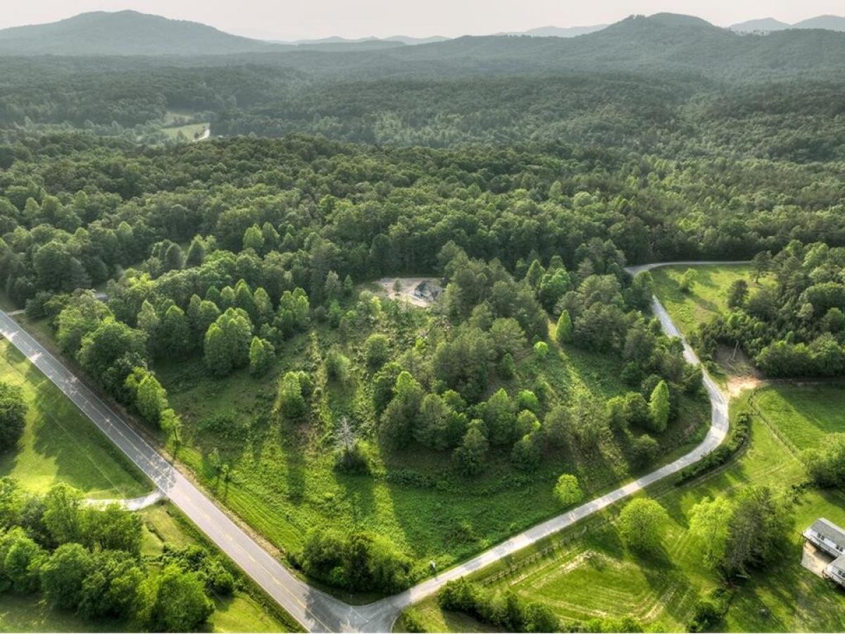 Picture of Residential Land For Sale in Mineral Bluff, Georgia, United States