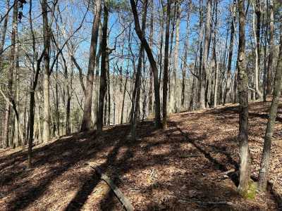 Residential Land For Sale in Ellijay, Georgia