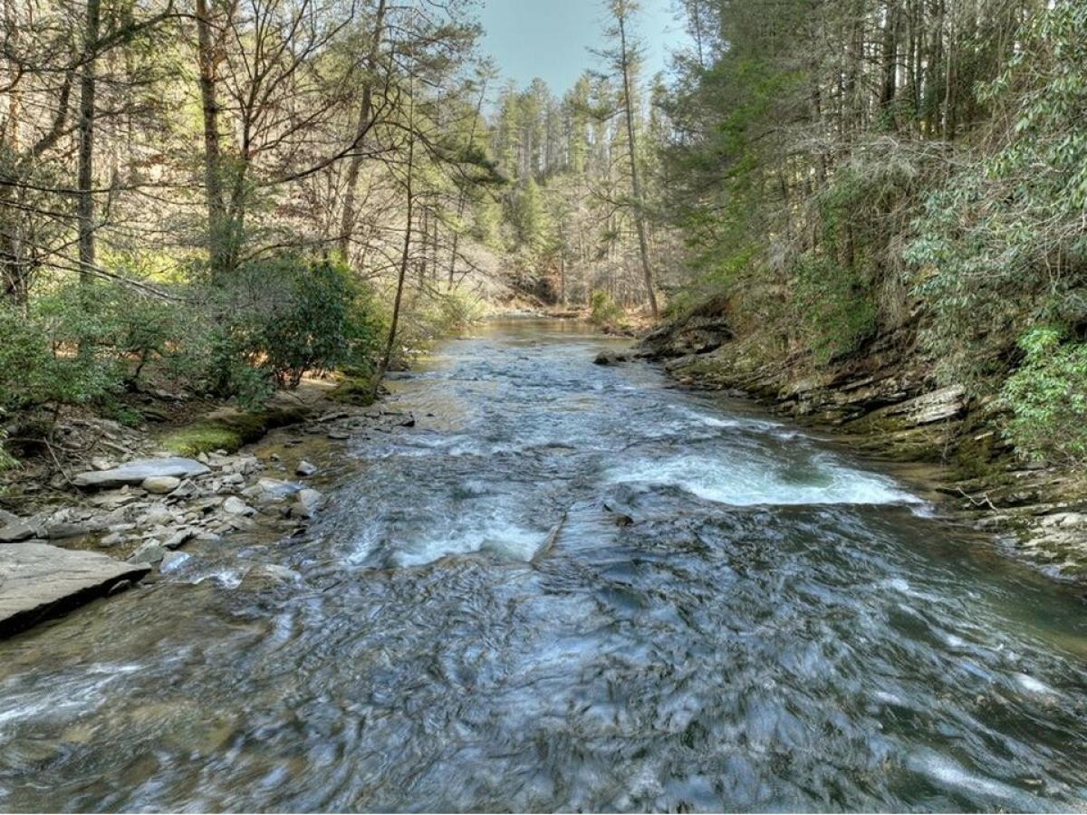 Picture of Residential Land For Sale in Ellijay, Georgia, United States