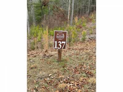 Residential Land For Sale in Ellijay, Georgia