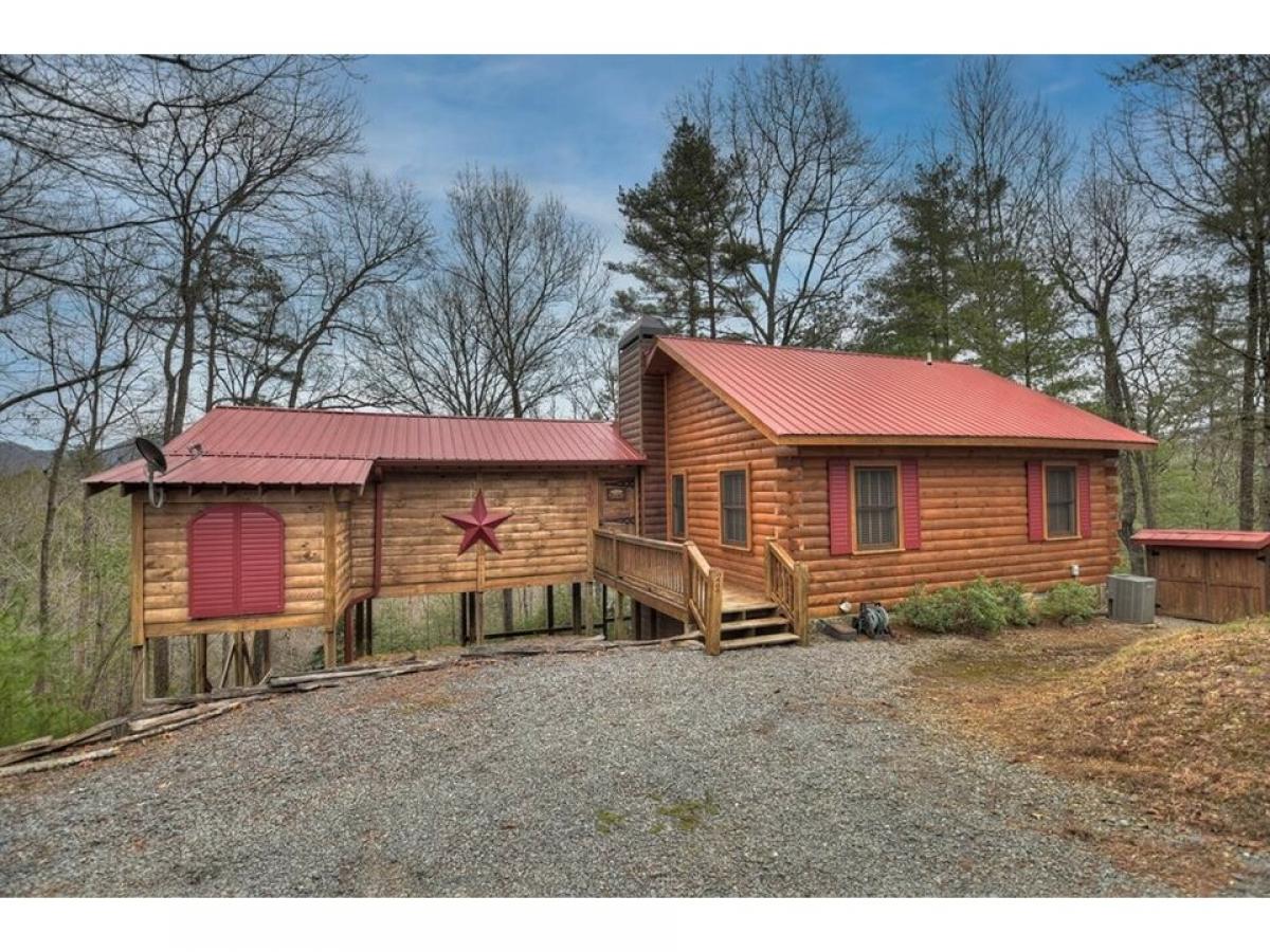 Picture of Home For Sale in Cherry Log, Georgia, United States