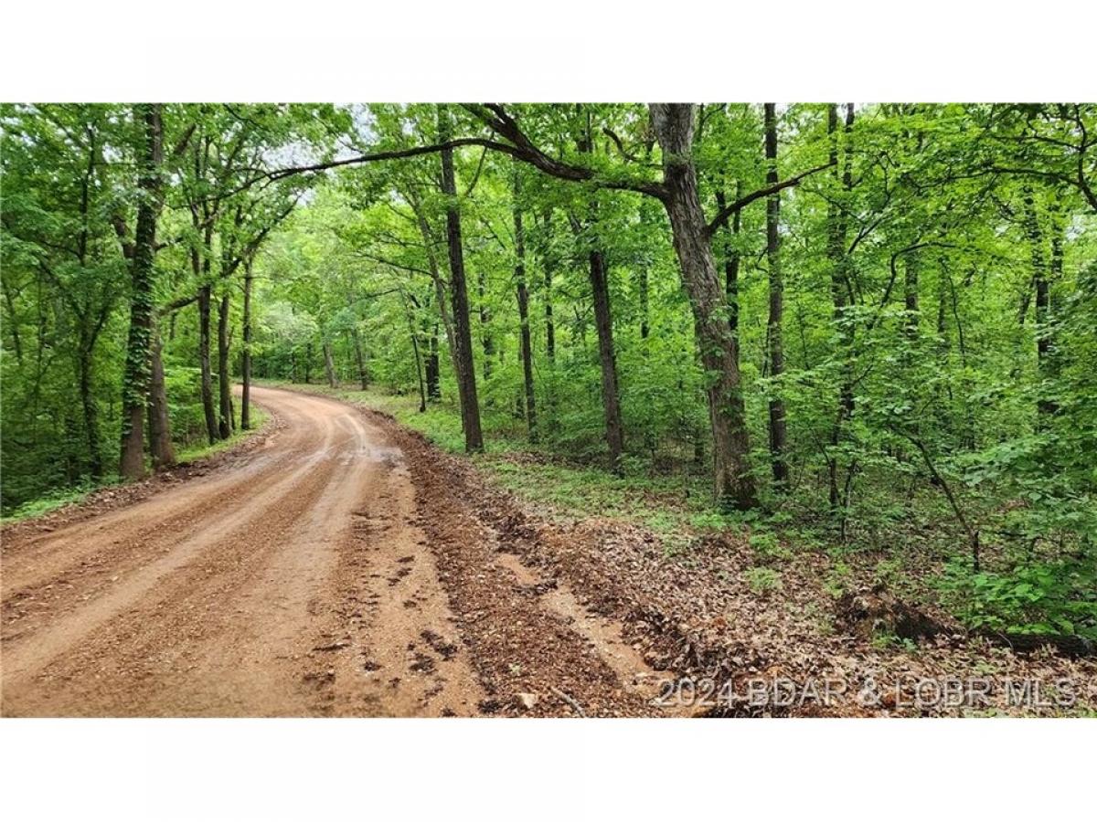 Picture of Residential Land For Sale in Stover, Missouri, United States