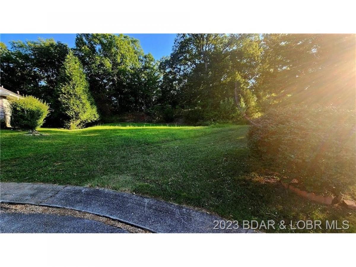 Picture of Residential Land For Sale in Gravois Mills, Missouri, United States