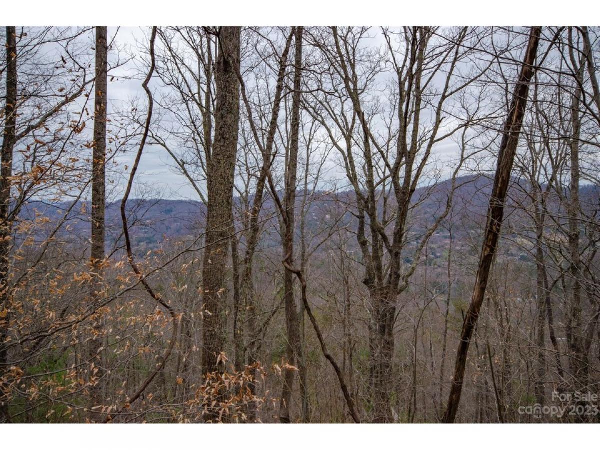 Picture of Residential Land For Sale in Asheville, North Carolina, United States