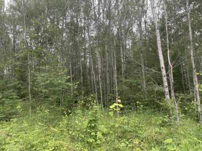 Residential Land For Sale in Mio, Michigan