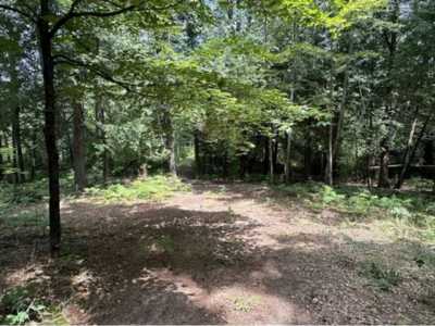 Residential Land For Sale in Farwell, Michigan