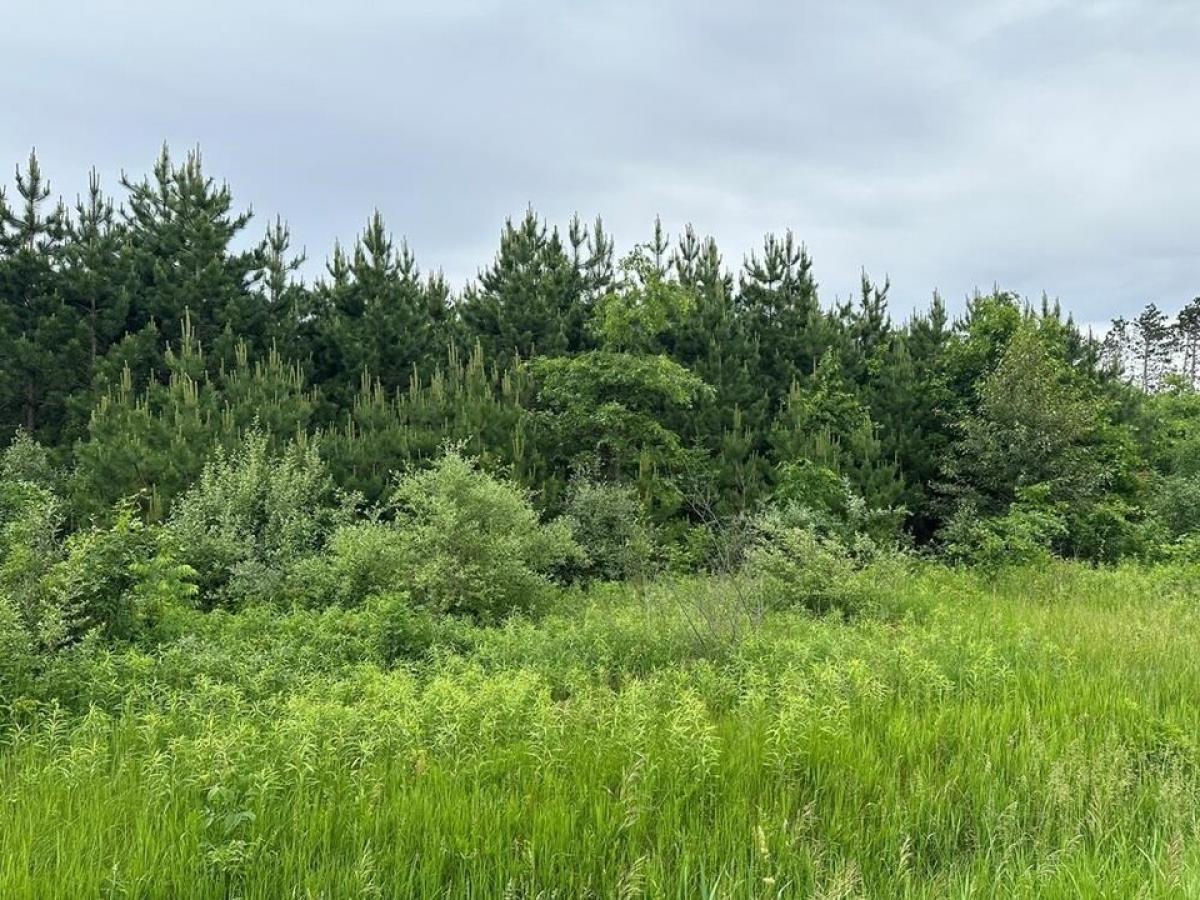 Picture of Residential Land For Sale in Harrison, Michigan, United States