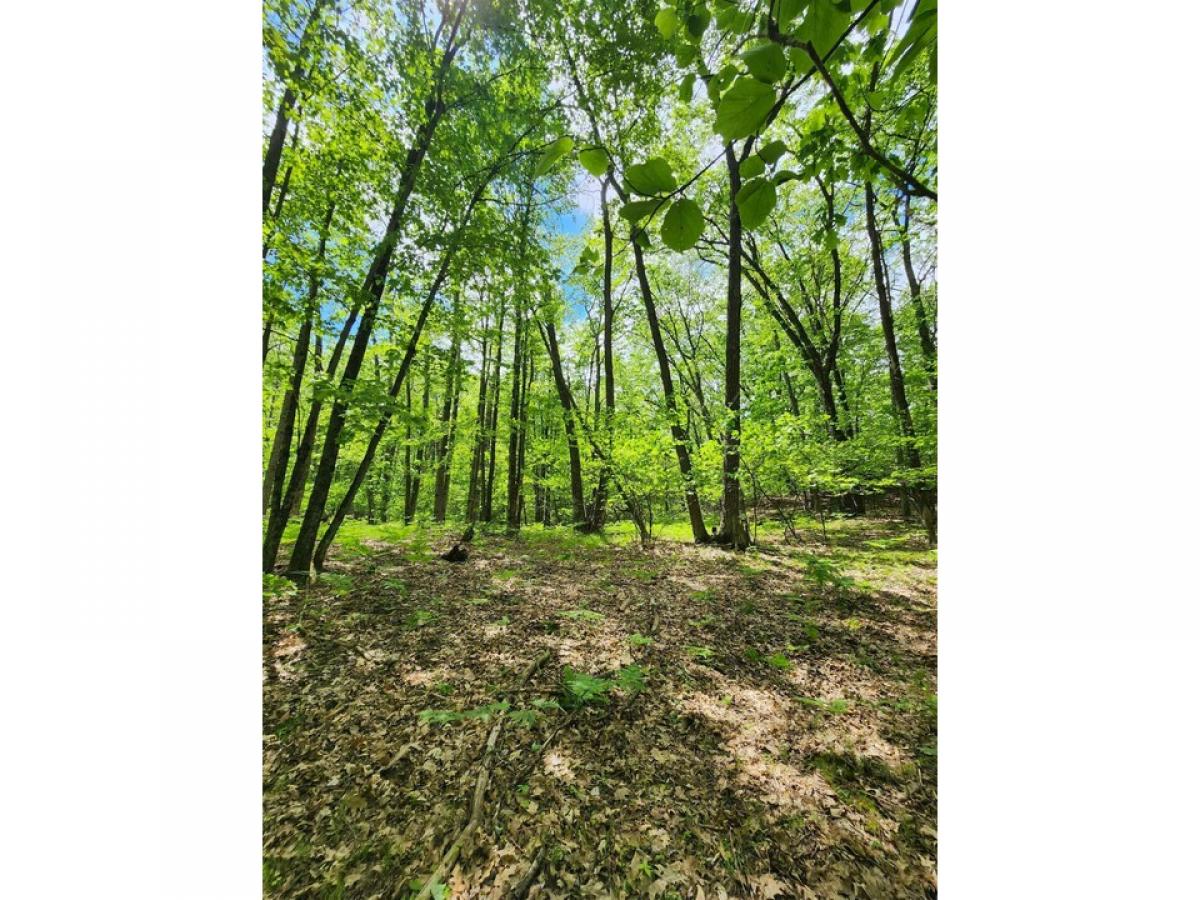 Picture of Residential Land For Sale in Farwell, Michigan, United States