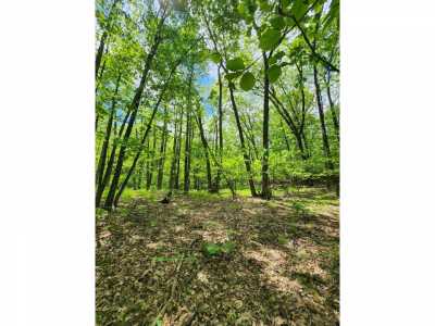 Residential Land For Sale in Farwell, Michigan