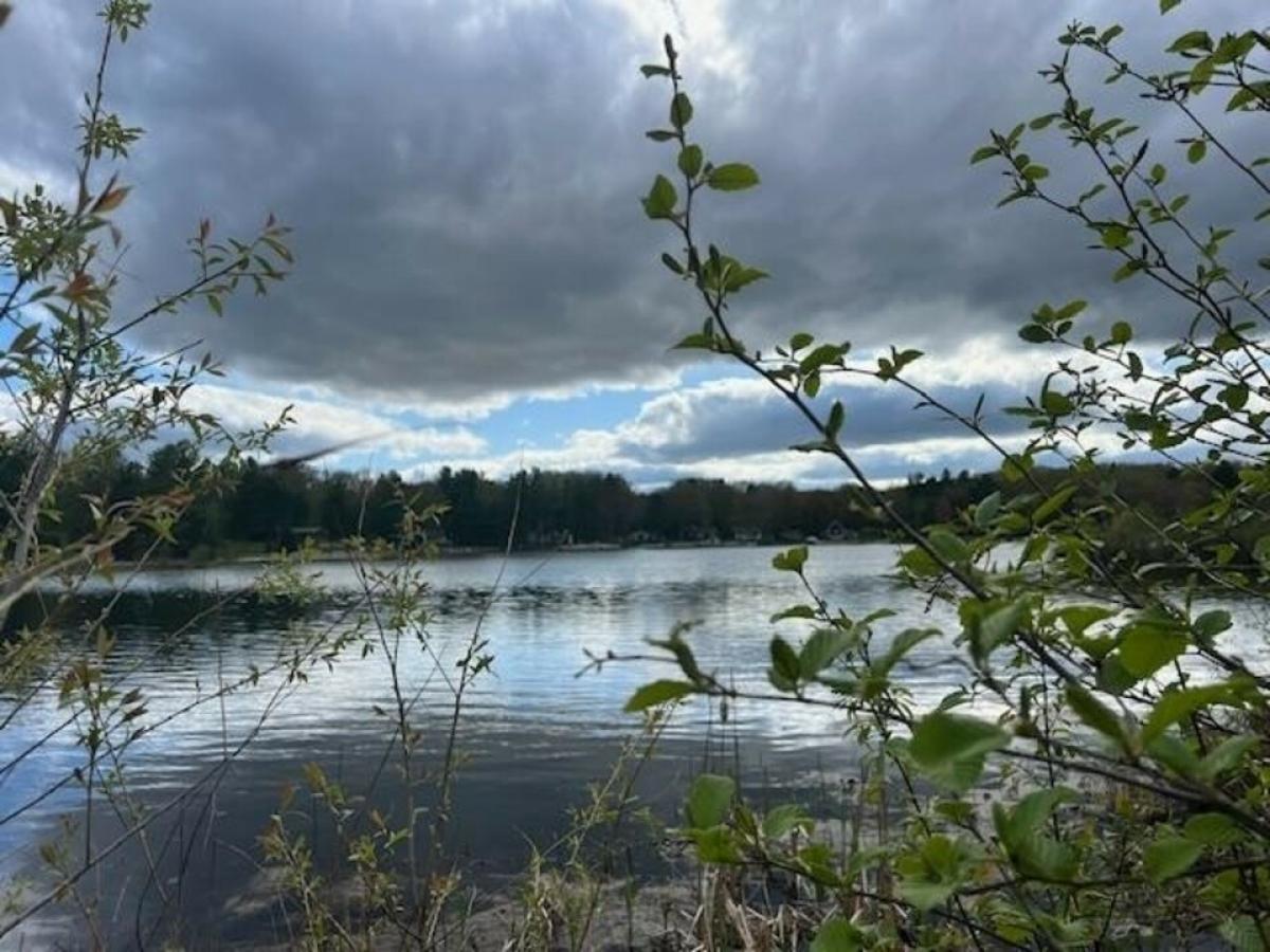 Picture of Residential Land For Sale in Harrison, Michigan, United States