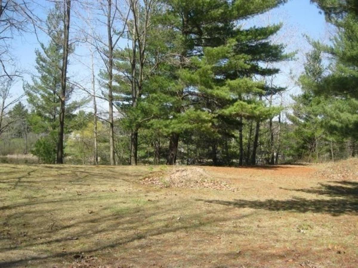 Picture of Residential Land For Sale in Gladwin, Michigan, United States