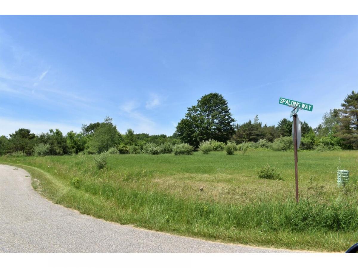 Picture of Residential Land For Sale in Gladwin, Michigan, United States