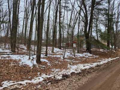 Residential Land For Sale in Gladwin, Michigan