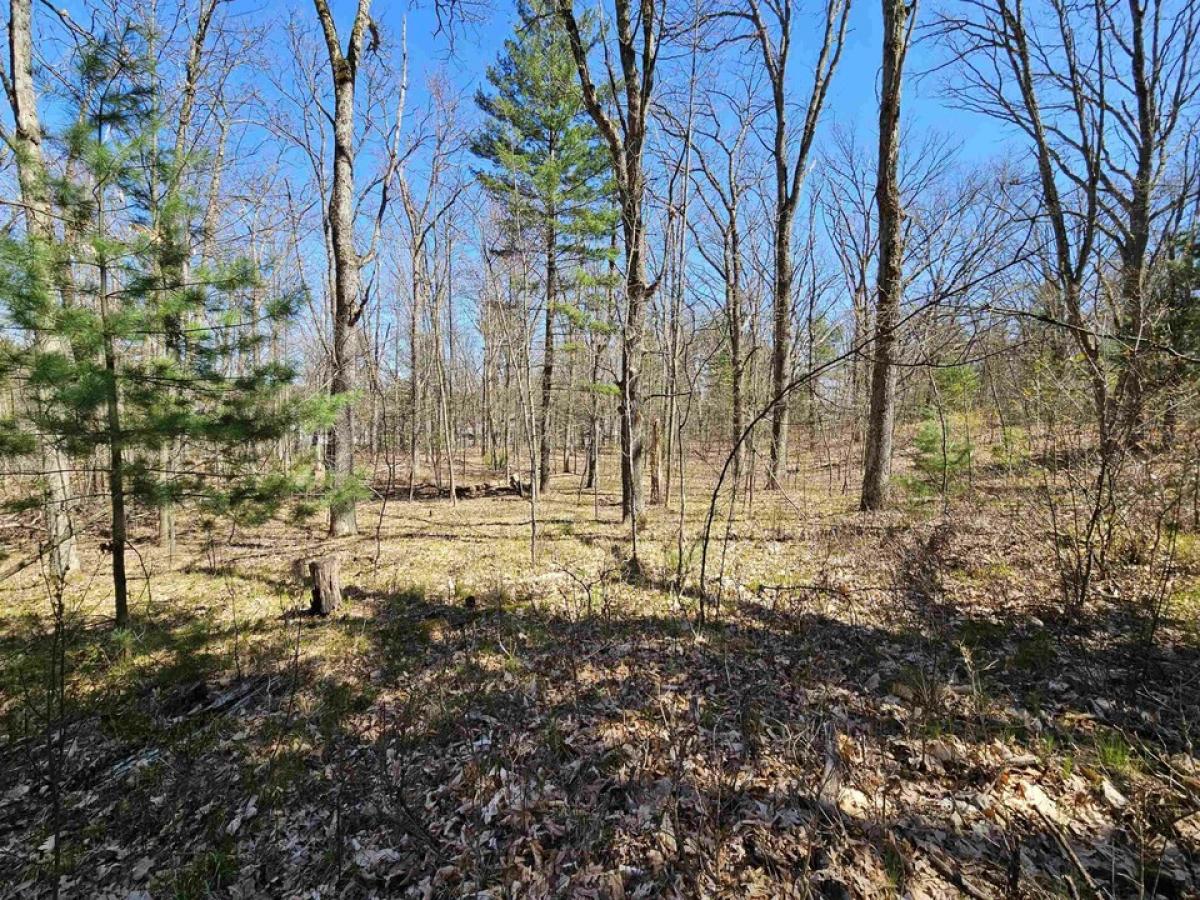 Picture of Residential Land For Sale in Harrison, Michigan, United States