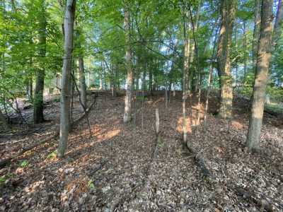 Residential Land For Sale in Gladwin, Michigan