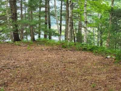 Residential Land For Sale in Gladwin, Michigan