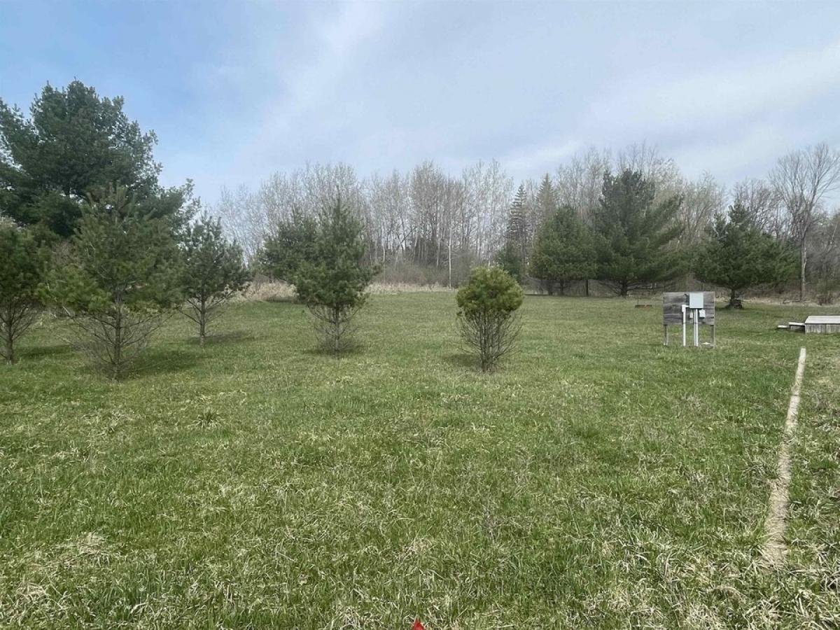 Picture of Residential Land For Sale in Gladwin, Michigan, United States