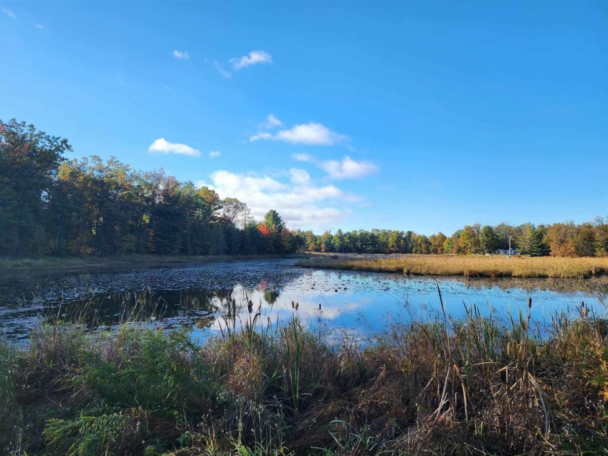 Picture of Residential Land For Sale in Harrison, Michigan, United States