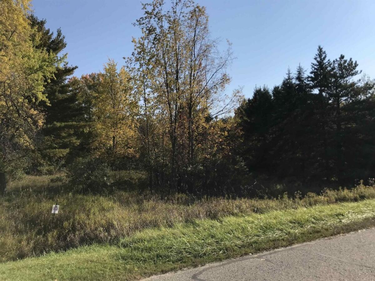 Picture of Residential Land For Sale in Gladwin, Michigan, United States