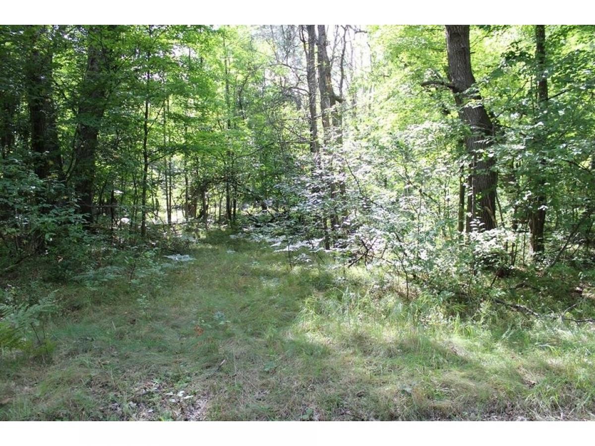 Picture of Residential Land For Sale in Farwell, Michigan, United States