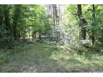 Residential Land For Sale in Farwell, Michigan